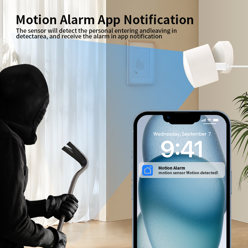 Zigbee or Wi-Fi Human Presence - Smart Home Monitoring recension och pris