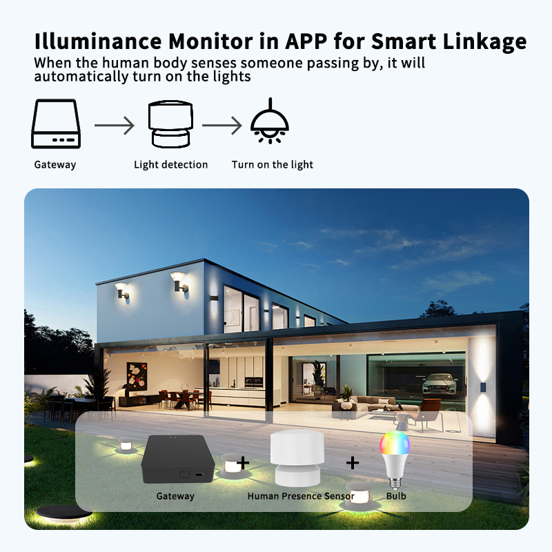 Zigbee or Wi-Fi Human Presence - Smart Home Monitoring recension och pris