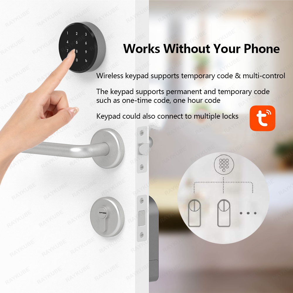 RAYKUBE A1 Pro Tuya BEL Smart  - Smart Home Door Lock recension och pris